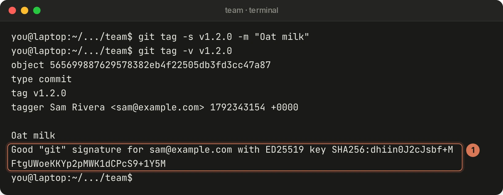 git tag -v shows the tag object and Good git signature for sam@example.com