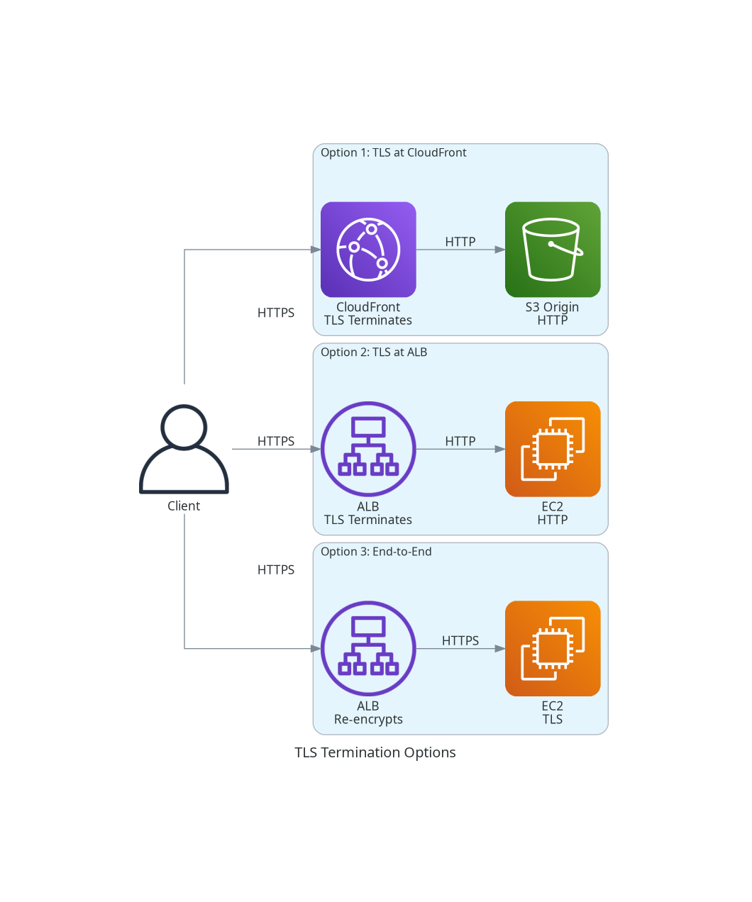 TLS Termination Options